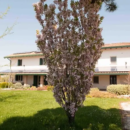 Pinella *