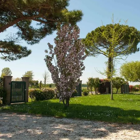 Pinella * Precenicco