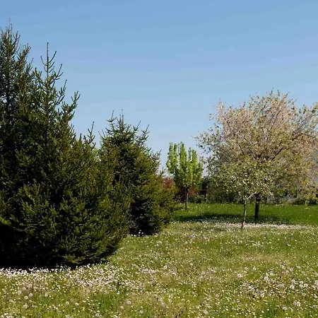 Pinella * Precenicco